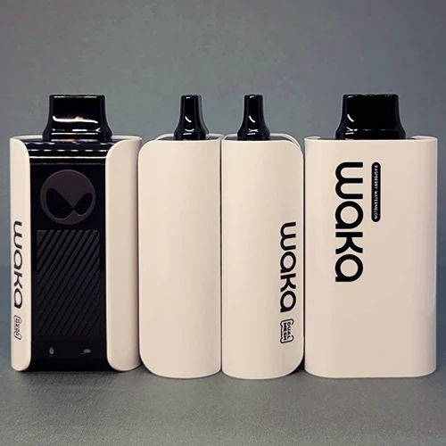 Ergonomic design of the Waka Sopro PA10000