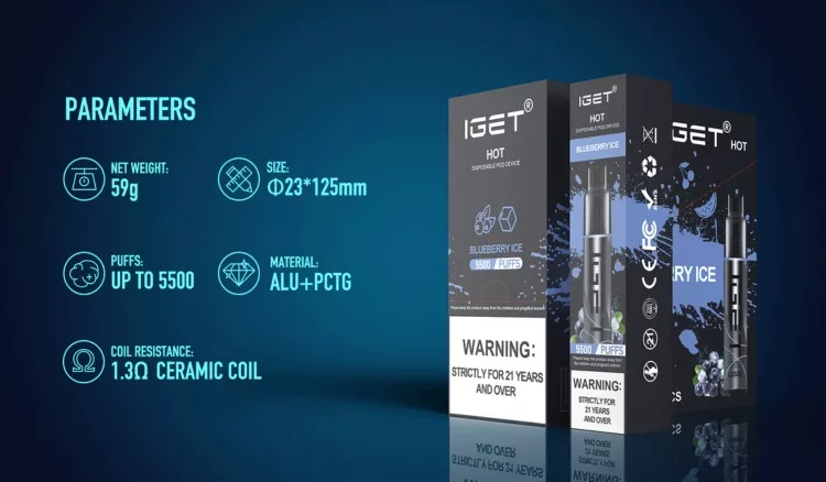 Detailed graphic of IGET Hot 5500 device components