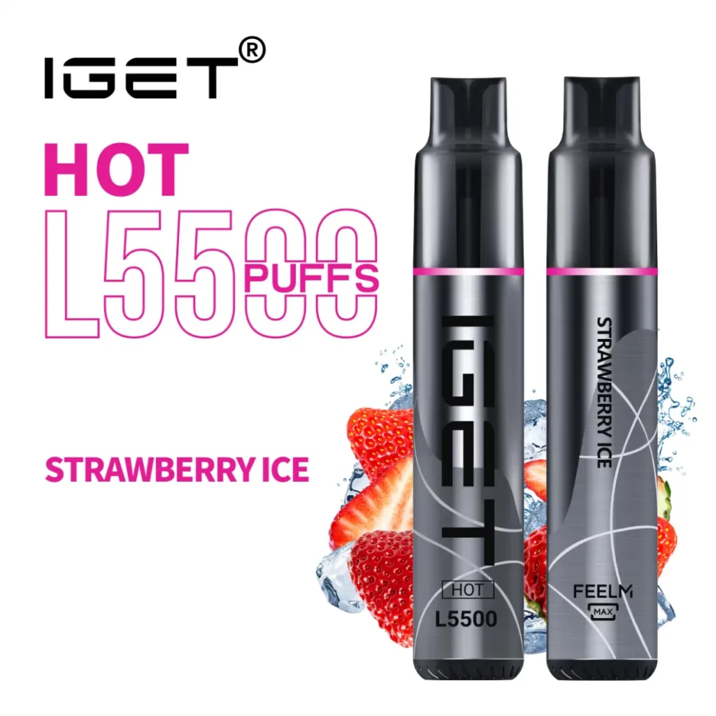 IGET Hot L5500 Disposable Vape Design Overview